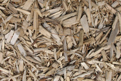 biomass boilers Srannda